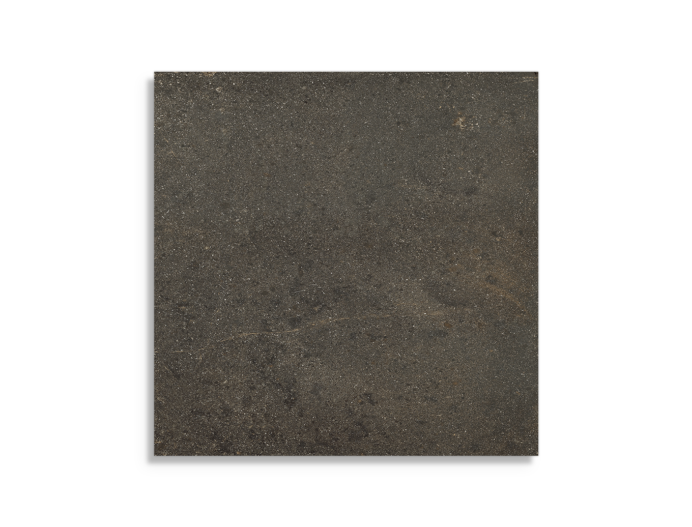 vloertegel vtwonen ReSource Avola 60 x 60