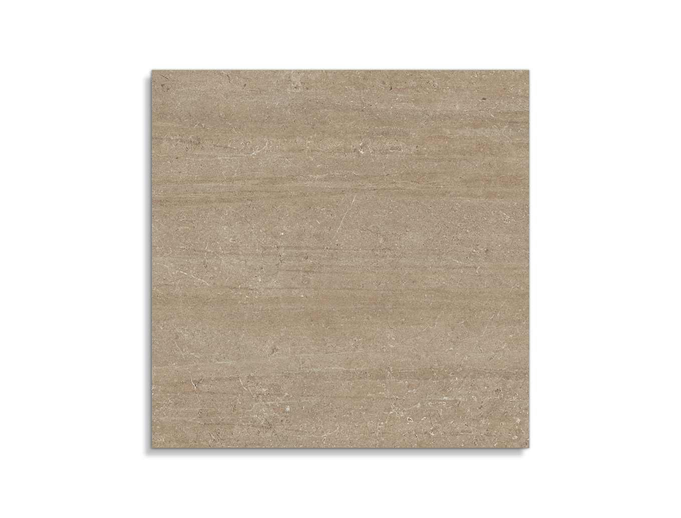 vloertegel vtwonen Traverlime Visone 120 x 120