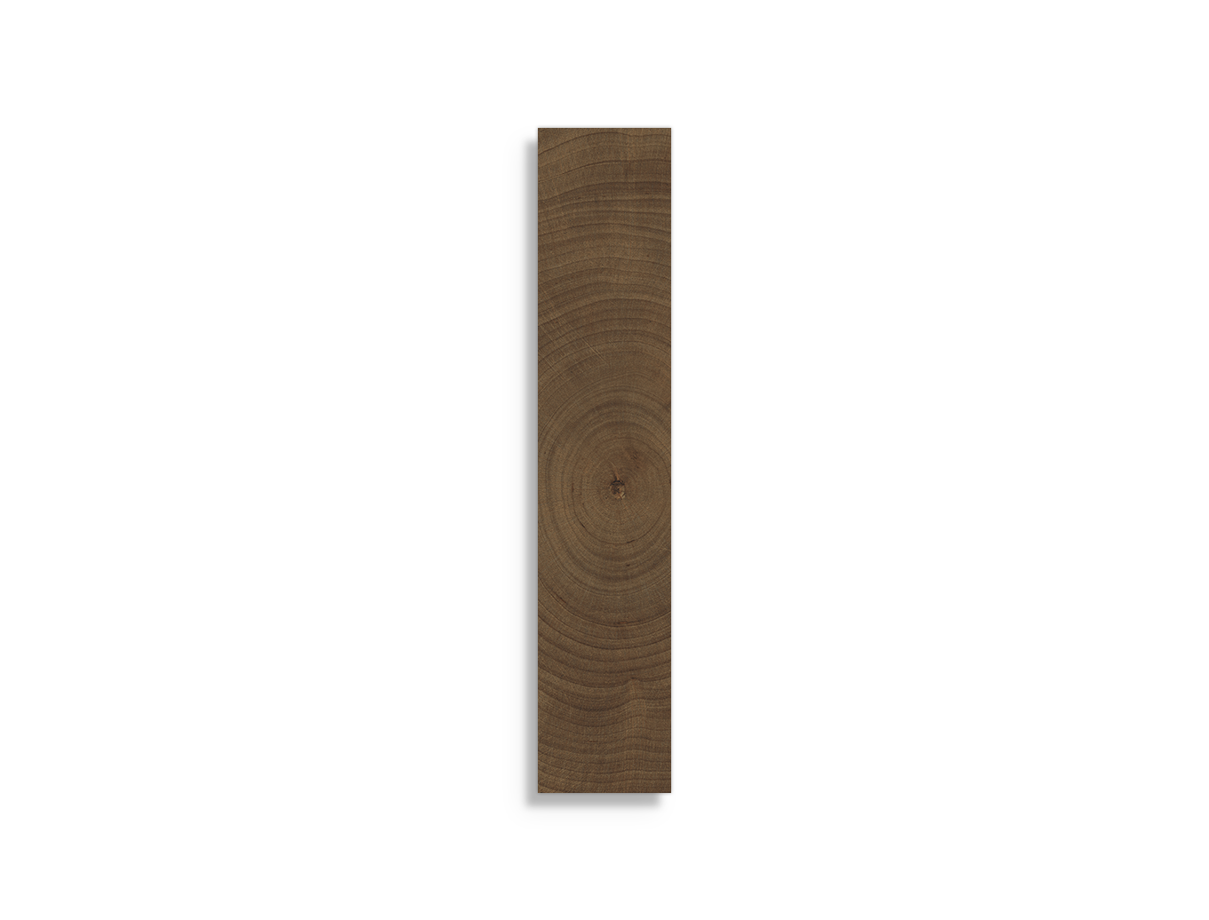 vloertegel vtwonen Woodcirkle Wenge 5 x 30