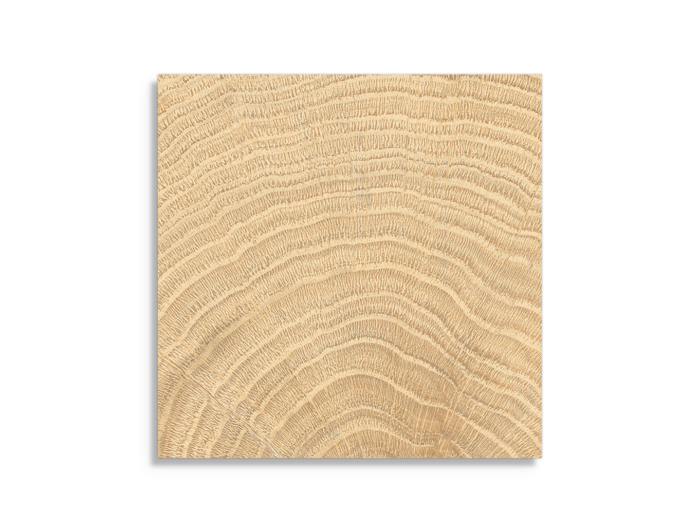 vloertegel vtwonen Woodcirkle Oak 10 x 10