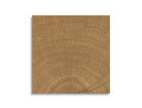 vloertegel vtwonen Woodcirkle Walnutt 10 x 10 | 338-645 | Jan Groen Tegels