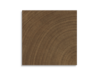 vloertegel vtwonen Woodcirkle Wenge 10 x 10 | 857-568 | Jan Groen Tegels