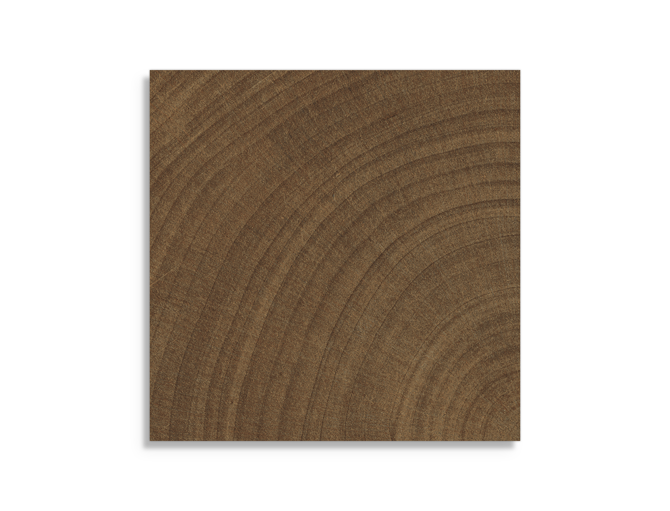 vloertegel vtwonen Woodcirkle Wenge 10 x 10
