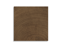 vloertegel vtwonen Woodcirkle Wenge 10 x 10 | 857-568 | Jan Groen Tegels