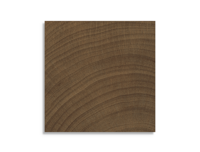 vloertegel vtwonen Woodcirkle Wenge 10 x 10 | 857-568 | Jan Groen Tegels