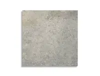 vloertegel Grijs 60 x 60 | 556-877 | Jan Groen Tegels