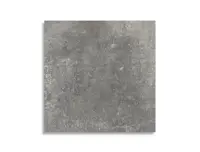 vloertegel Grijs 60 x 60 | 556-877 | Jan Groen Tegels