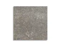 vloertegel Grijs 20 x 20 | 309-425 | Jan Groen Tegels