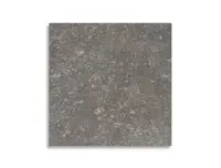 vloertegel Grijs 20 x 20 | 309-425 | Jan Groen Tegels