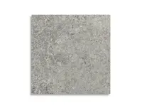 vloertegel Grijs 20 x 20 | 309-425 | Jan Groen Tegels