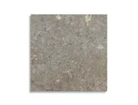 vloertegel Grijs 20 x 20 | 309-425 | Jan Groen Tegels