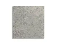 vloertegel Grijs 30 x 30 | 655-504 | Jan Groen Tegels