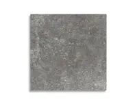 vloertegel Grijs 30 x 30 | 655-504 | Jan Groen Tegels