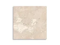 vloertegel Beige 60 x 60 | 503-112 | Jan Groen Tegels