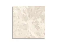 vloertegel Beige 60 x 60 | 503-112 | Jan Groen Tegels