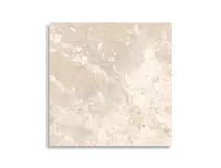 vloertegel Beige 60 x 60 | 503-112 | Jan Groen Tegels