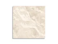 vloertegel Beige 60 x 60 | 503-112 | Jan Groen Tegels