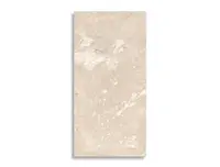 vloertegel Beige 60 x 120 | 838-461 | Jan Groen Tegels