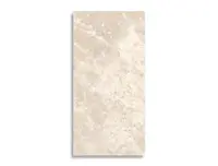 vloertegel Beige 60 x 120 | 838-461 | Jan Groen Tegels