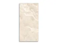 vloertegel Beige 60 x 120 | 838-461 | Jan Groen Tegels