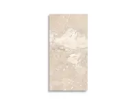 vloertegel Beige 30 x 60 | 206-559 | Jan Groen Tegels