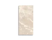vloertegel Beige 30 x 60 | 206-559 | Jan Groen Tegels