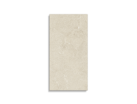 vloertegel Beige 30 x 60 | 166-732 | Jan Groen Tegels