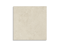 vloertegel Beige 60 x 60 | 789-417 | Jan Groen Tegels