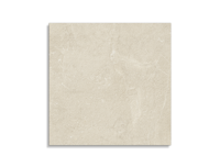 vloertegel Beige 60 x 60 | 789-417 | Jan Groen Tegels
