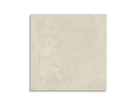 vloertegel Beige 60 x 60 | 789-417 | Jan Groen Tegels