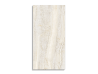 vloertegel Beige 60 x 120 | 008-338 | Jan Groen Tegels