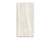 vloertegel Beige 60 x 120 | 008-338 | Jan Groen Tegels