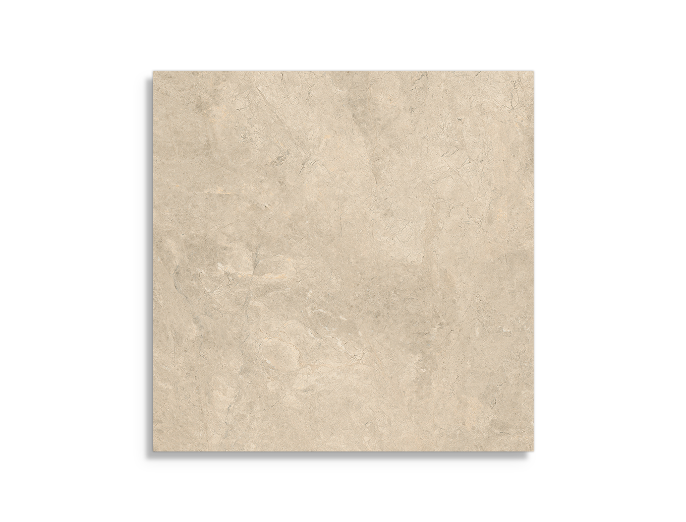 vloertegel Caesar Haven Oat 60 x 60