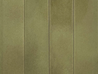 wandtegel Groen 5 x 20 | 209-928 | Jan Groen Tegels