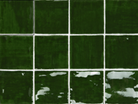 wandtegel Groen 10 x 10 | 462-292 | Jan Groen Tegels