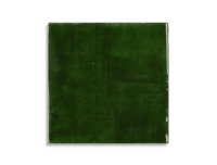 wandtegel Groen 10 x 10 | 462-292 | Jan Groen Tegels