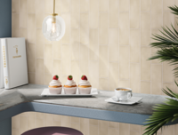 wandtegel Wit 6.5 x 20 | 946-839 | Jan Groen Tegels