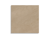 vloertegel Geotiles Eddystone Taupe 60 x 60 | 639-860 | Jan Groen Tegels