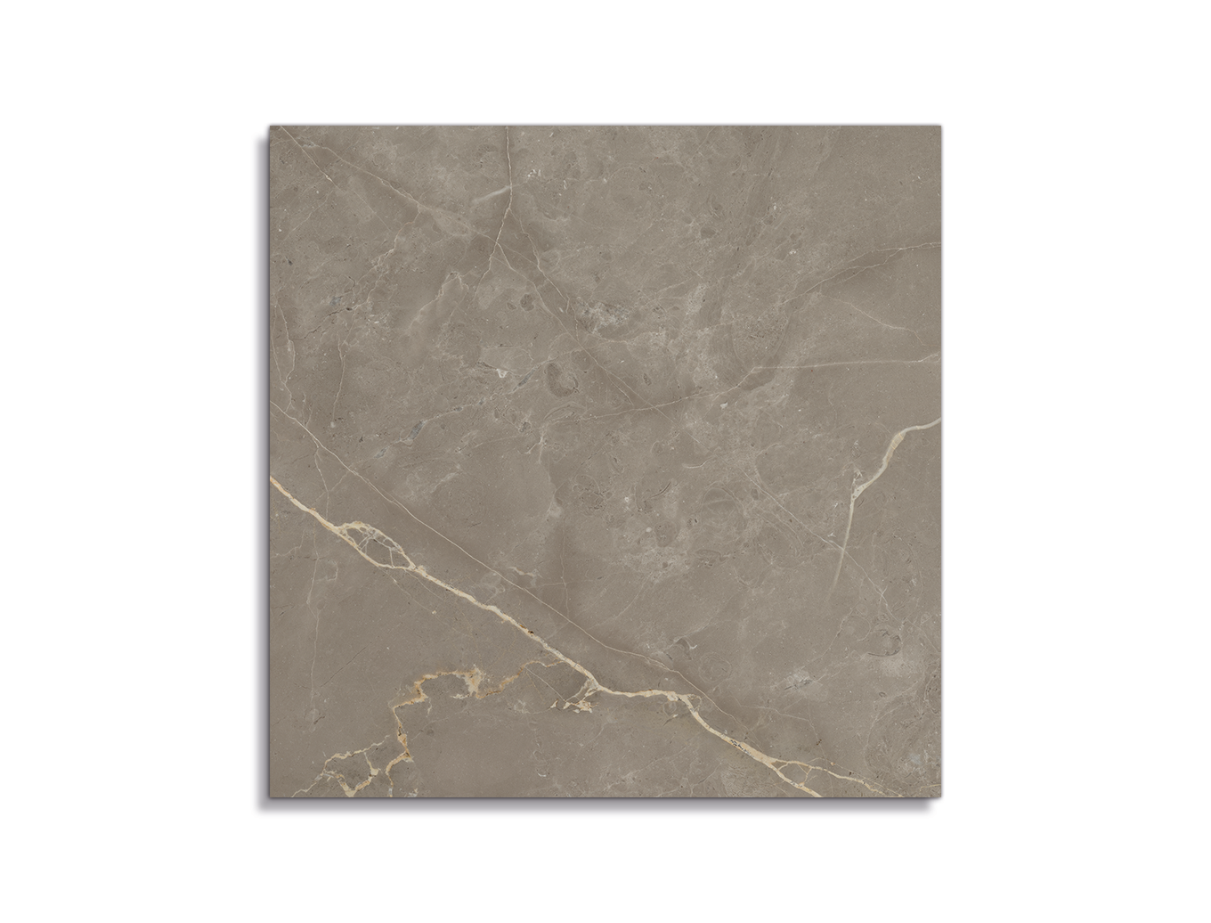 vloertegel Geotiles Lastra Greige Silk 60 x 60