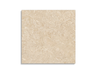 vloertegel Pamesa Odyssey Cream Polido 60 x 60 | 180-775 | Jan Groen Tegels