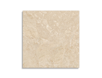 vloertegel Pamesa Odyssey Cream Polido 60 x 60 | 180-775 | Jan Groen Tegels