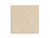 vloertegel Pamesa Odyssey Cream Polido 60 x 60 | 180-775 | Jan Groen Tegels