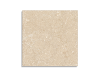 vloertegel Pamesa Odyssey Cream Polido 60 x 60 | 180-775 | Jan Groen Tegels