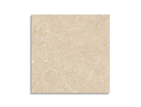 vloertegel Pamesa Odyssey Cream Polido 60 x 60 | 180-775 | Jan Groen Tegels