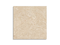 vloertegel Pamesa Odyssey Cream Polido 60 x 60 | 180-775 | Jan Groen Tegels