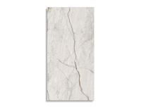 vloertegel Pamesa Roma Beige 60 x 120 | 220-475 | Jan Groen Tegels