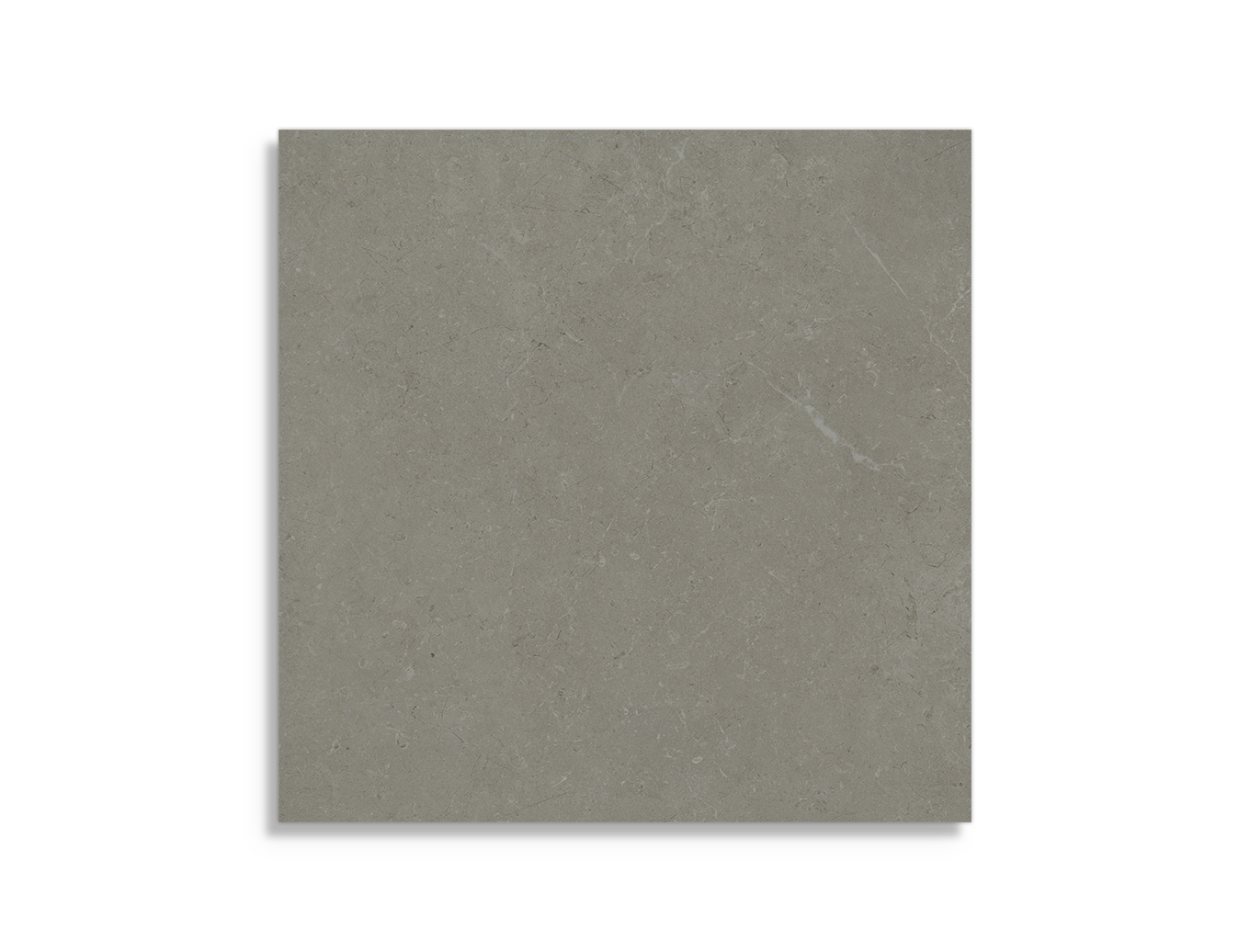 tuintegel Taupe 60 x 60