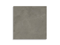 tuintegel Grijs 60 x 60 | 106-481 | Jan Groen Tegels