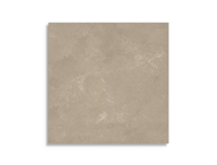 tuintegel Bruin 60 x 60 | 465-330 | Jan Groen Tegels