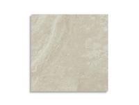 tuintegel Beige 60 x 60 | 270-515 | Jan Groen Tegels